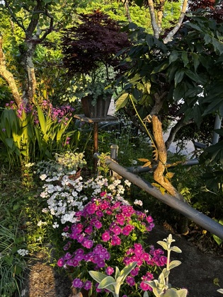 母の夢が教えてくれた“本当の自由”と生き方の選び直し