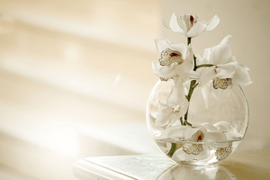 「Life Design Lab.」の伝えたいこと